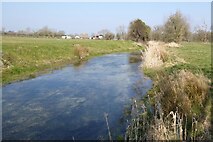 SU0195 : River Thames at Somerford Keynes by Philip Halling