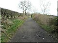 Track above Kilsyth