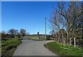 Access road to Derwent Grange Farm