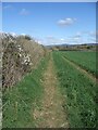 Public footpath between Kenfig and Heol-y-Broom