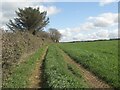 Public footpath between Kenfig and Heol-y-Broom (3)