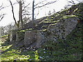 Old lime kilns west of Bushy Flat