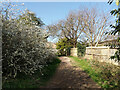 Public footpath 1542 to Ifield church