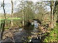 River Washburn above Blubberhouses