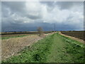 Storm clouds east of Fernwood