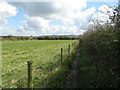 Along a muddy footpath near Bledlow