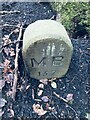 Old Boundary Marker in Stamford Park, Tameside