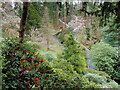 SH7972 : Bodnant Garden, The Dell by David Dixon