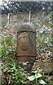 Old Boundary Marker on Alexandrina Plantation, Bramcote