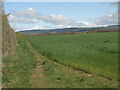 Public footpath between Sandville Court and Heol-y-Broom