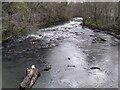 River Kelvin