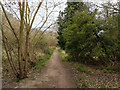 Bridleway 374 towards Smallfield Road