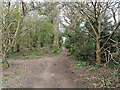 Bridleway 374 towards Smallfield Road