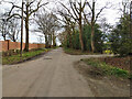 Peeks Brook Lane looking south