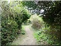 Berengrave Local Nature Reserve, Rainham