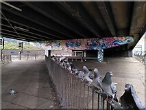 SP3379 : Art in the underpass, Coventry ring road by A J Paxton