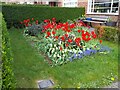 Garden on Greenhalgh Walk, Hampstead Garden Suburb