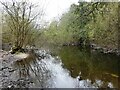 Berengrave Local Nature Reserve, Rainham