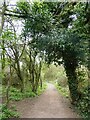 Berengrave Local Nature Reserve, Rainham