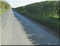 Country  road  toward  Hunmanby