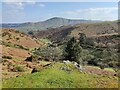 Gogbatch valley on the Long Mynd