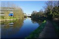 Grand Union Canal towards Trumpers Way Bridge