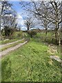 Footpath north of Poles Coppice