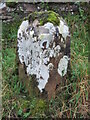 NY8115 : Old Boundary Marker on the B6276 Hazel Bank, northeast of Brough by M Rayner
