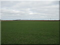 Arable  fields  from  near  Willy  Howe  Farm