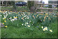 Flowers by Brick Kiln Lane, Rickling