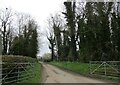 Church Lane, Martin