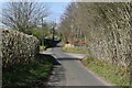 Parawell Lane near Pathwell Farm