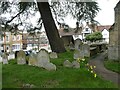 Spring flowers in the churchyard (3)