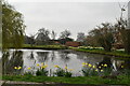 Pond, Brook Farm