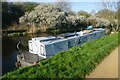 Canal boat Cleo, Grand Union Canal