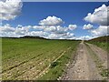 Farm Track near Lamb Pens Farm