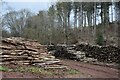 Timber stacks in valley below St Clements