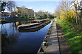 Grand Union Canal towards bridge #202