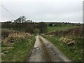 Minor road near Bryneglwys