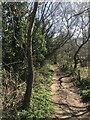 Bridleway to Sluice Wood