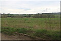 Fields by Benington Road south of Walkern