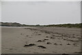 B7721 : Sand dunes, Carrickfinn Beach by N Chadwick