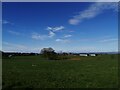 Farmland on Dunlop