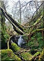 Waterfall at Rob Roy