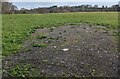 Partly grassed field, Nantyderry