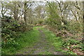 Path on Epsom Common