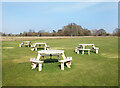 Tables on the Lawn