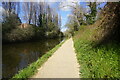 Grand Union Canal towards bridge #198