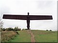 NZ2657 : The Angel of the North by Eirian Evans