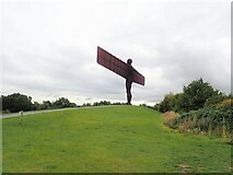 NZ2657 : Angel of the North by Eirian Evans